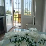 Si Y No *